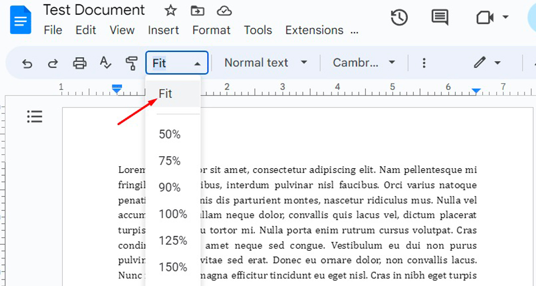 how-to-zoom-in-and-zoom-out-in-google-docs-2023