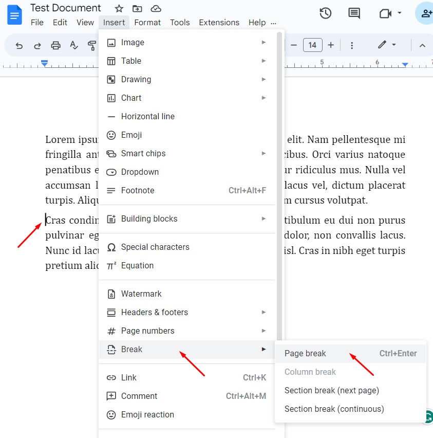 How To Add Or Remove Page Breaks In Google Docs 2023 